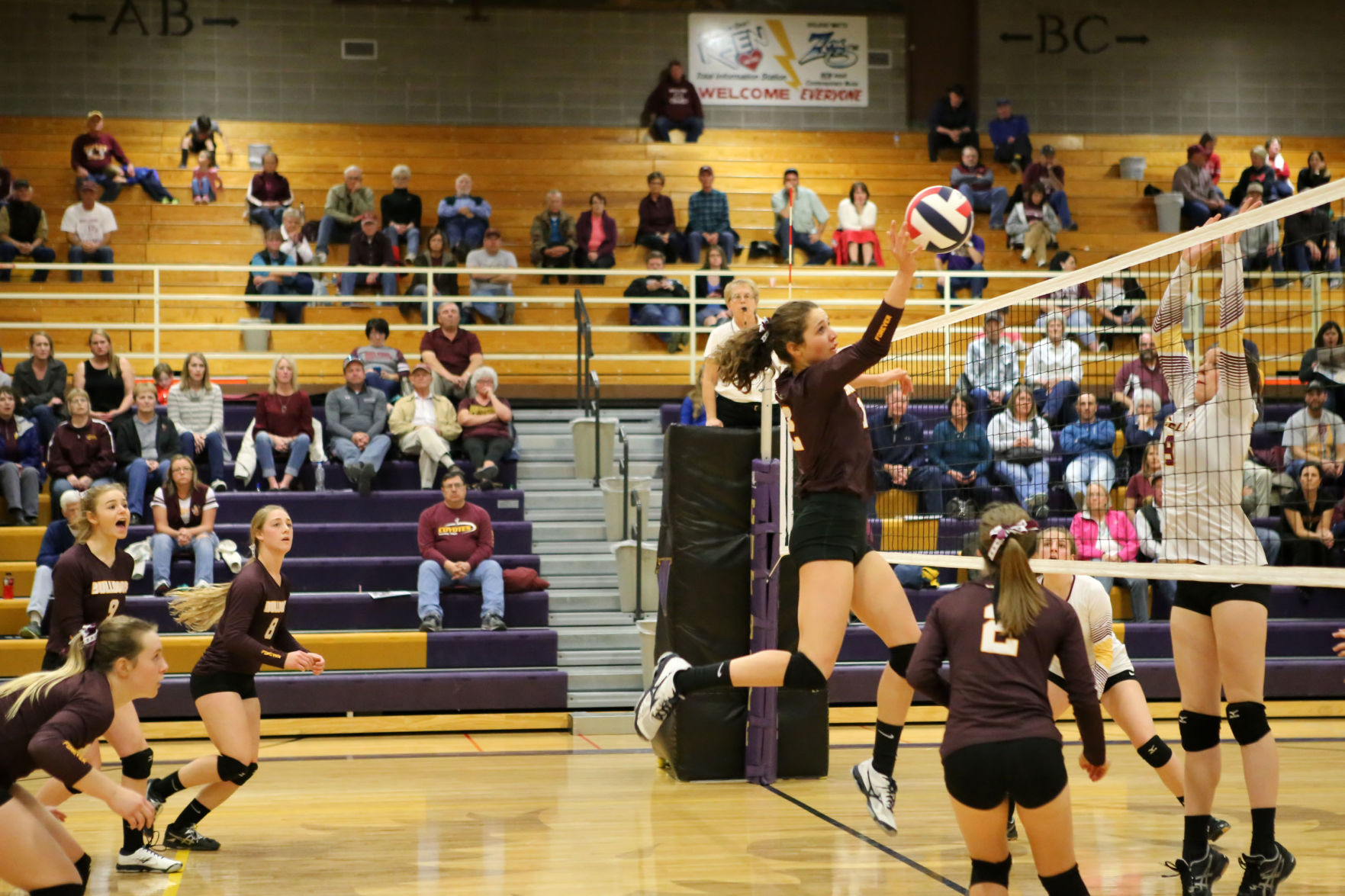 Bulldogs VB action